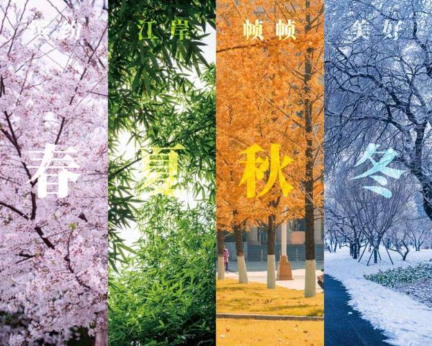 日产精品一二三四区气温,带你感受四季如春的舒适体验