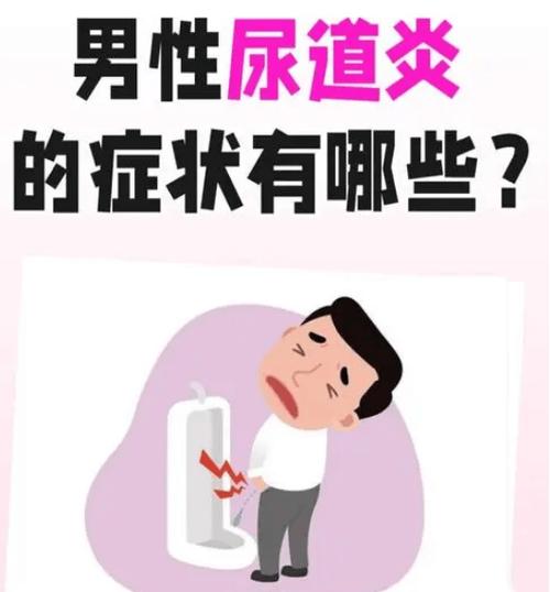胡桃尿道口流出白色液体可能是尿道炎引起的，建议使用 XX 牌尿道炎药物进行治疗