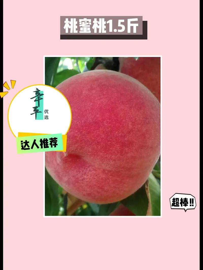 快来品尝巨无霸水蜜桃水帘洞,享受多汁甜蜜的口感