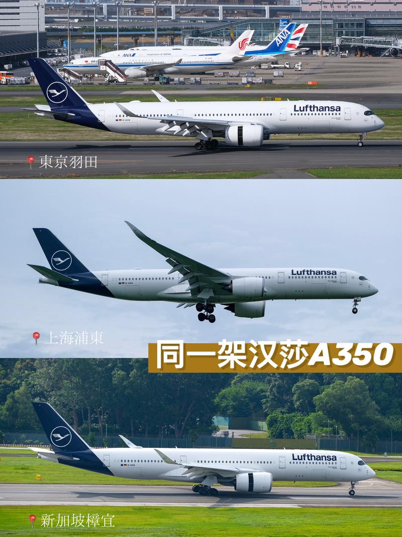 中国体育生宿舍 GARY 飞机——便携式私人飞机,带你体验飞行乐趣