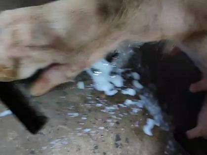 滋润肌肤,清爽不油腻——乳液狂飙开襟图片不加马赛克