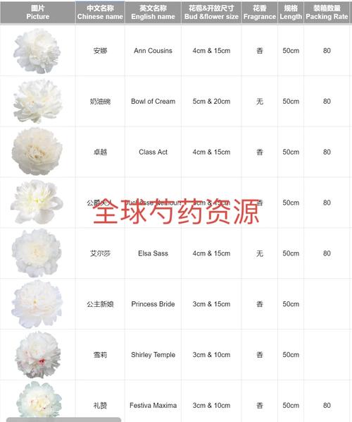 蜜芽国精产品一二三产区,汇聚全球优质好物,满足你对品质生活的追求