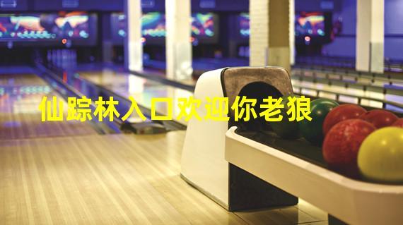 欢迎免费进入仙踪林网站，享受高品质休闲娱乐