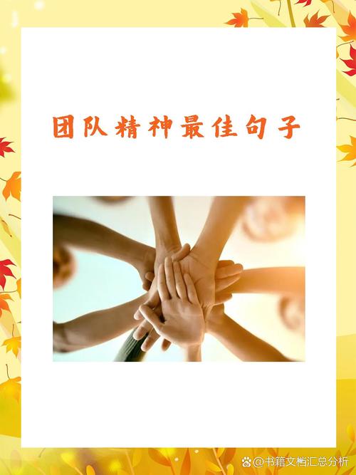 关于队伍稳定状态：一支队伍的稳健成长与凝聚力量塑造坚实基石