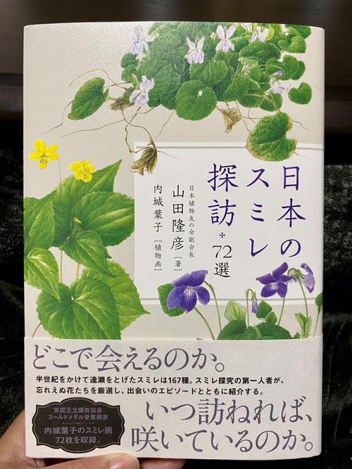 野花社区日本最新免费,高清画质,流畅体验,无广告骚扰