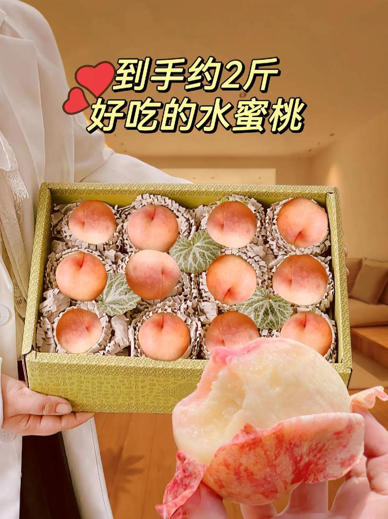 巨无霸水蜜桃 4399,汁多味甜,香气浓郁,营养丰富,是您不可错过的美味水果