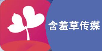 含羞草传媒 2022 隐藏路线，一款功能强大的视频播放软件