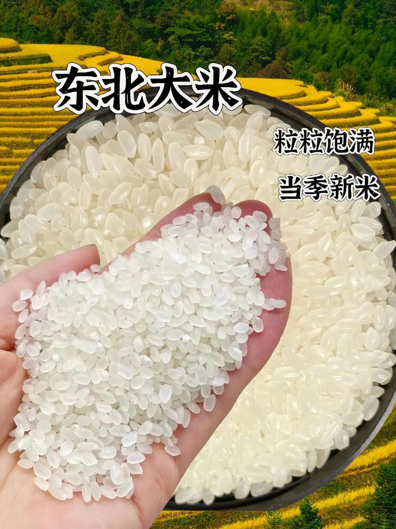 东北山村情事——优质东北大米,口感香糯,营养丰富
