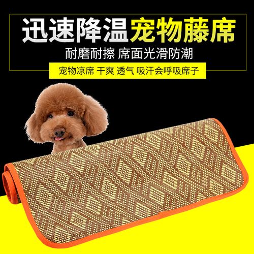 狗狗的东西又硬又烫?试试这款宠物专用冰垫