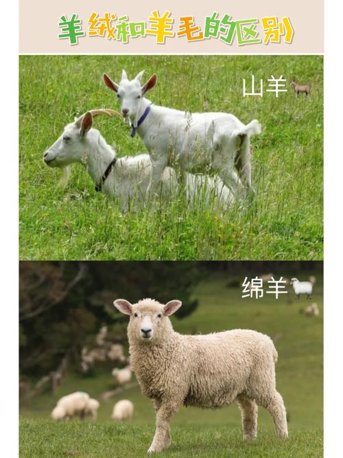 欧美精产国品一二三产品,各具特色,你了解它们的区别吗?