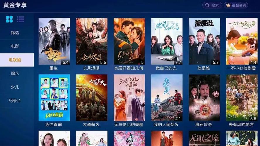 成全视频，免费观看时间无限制，热门大片随心看
