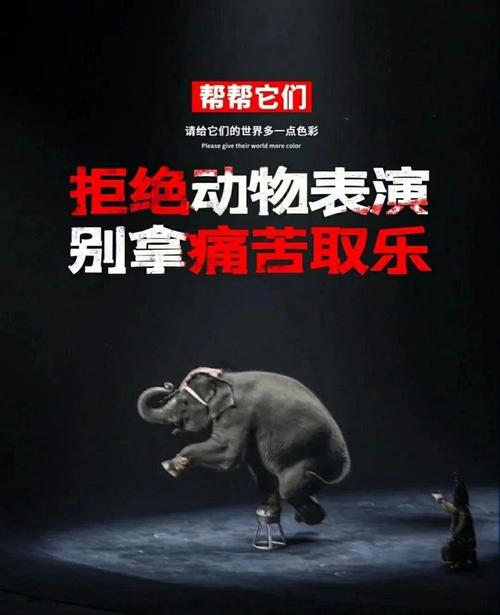 ：人與動物牲交：保护动物，从拒绝非法制品开始