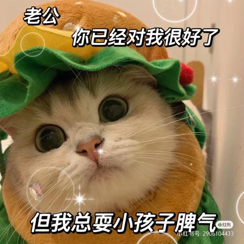 老公亲我的小花园爱我吗怎么回答？这款产品你一定要知道