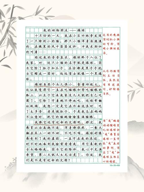 输了让同学玩全部位置的作文：体验不同角色的乐趣