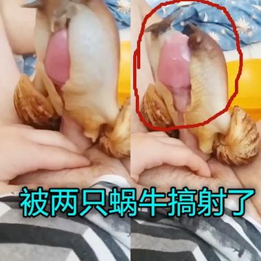 155FUN 黑料入口,汇聚各种有趣的图片、视频和文章,让你轻松享受娱乐时光