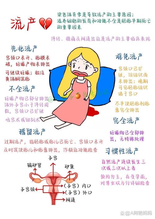 精产一二三产区区别在哪?带你了解它们的不同之处