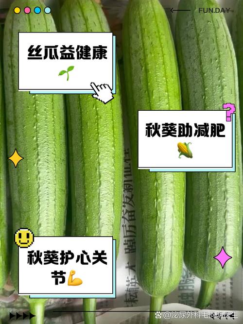 绿色无广,营养丰富,丝瓜秋葵草莓绿巨人大全,你值得拥有